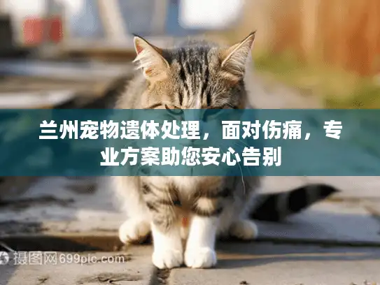 兰州宠物遗体处理，面对伤痛，专业方案助您安心告别