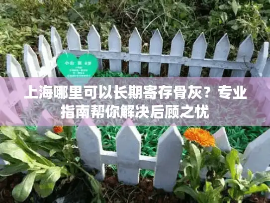 上海哪里可以长期寄存骨灰？专业指南帮你解决后顾之忧