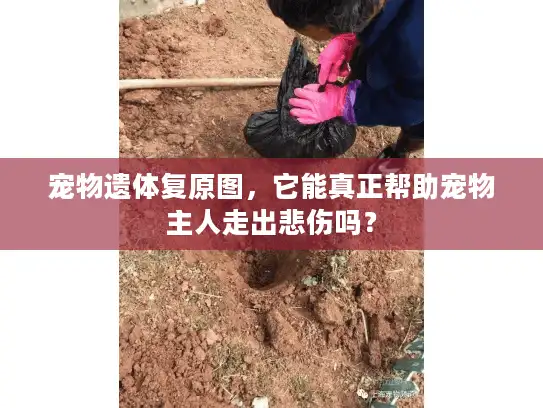 宠物遗体复原图，它能真正帮助宠物主人走出悲伤吗？