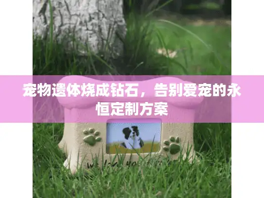 宠物遗体烧成钻石，告别爱宠的永恒定制方案