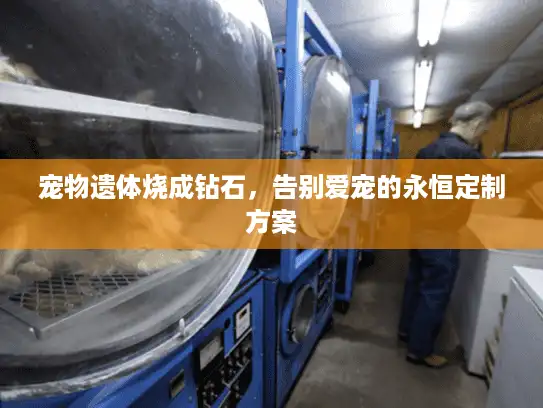 宠物遗体烧成钻石，告别爱宠的永恒定制方案
