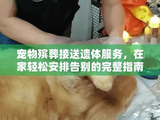宠物殡葬接送遗体服务，在家轻松安排告别的完整指南