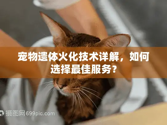 宠物遗体火化技术详解，如何选择最佳服务？