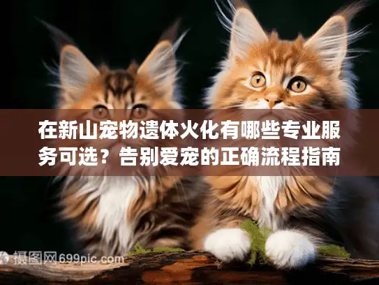 在新山宠物遗体火化有哪些专业服务可选？告别爱宠的正确流程指南