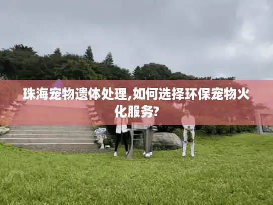 珠海宠物遗体处理,如何选择环保宠物火化服务?