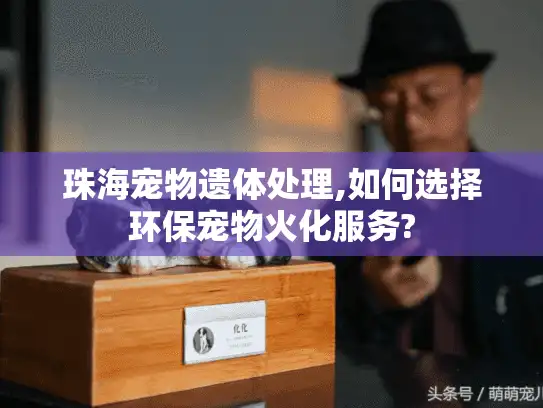 珠海宠物遗体处理,如何选择环保宠物火化服务?