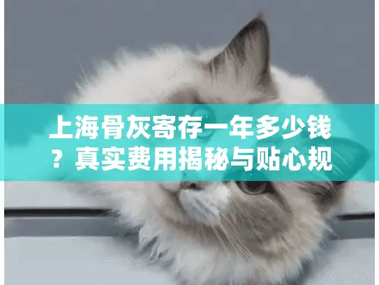 上海骨灰寄存一年多少钱？真实费用揭秘与贴心规划建议