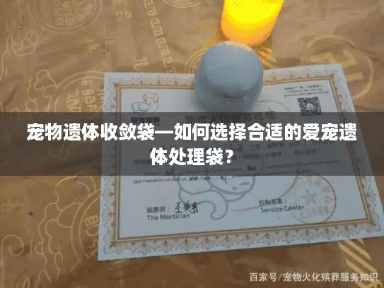 宠物遗体收敛袋—如何选择合适的爱宠遗体处理袋？