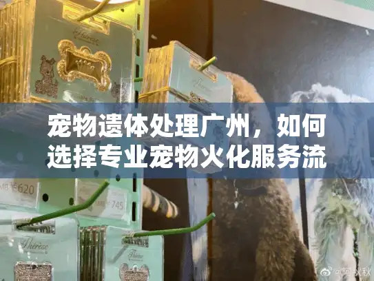 宠物遗体处理广州，如何选择专业宠物火化服务流程？