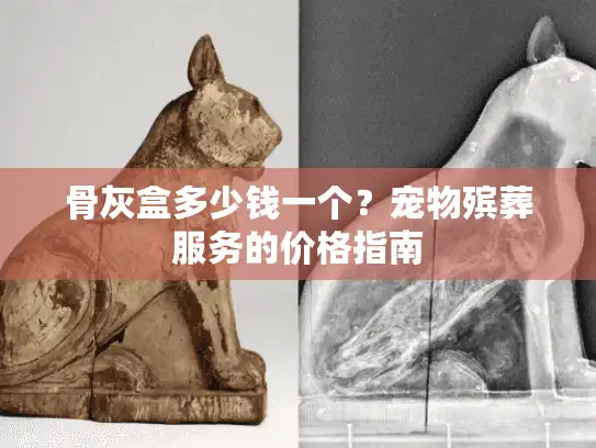 骨灰盒多少钱一个？宠物殡葬服务的价格指南