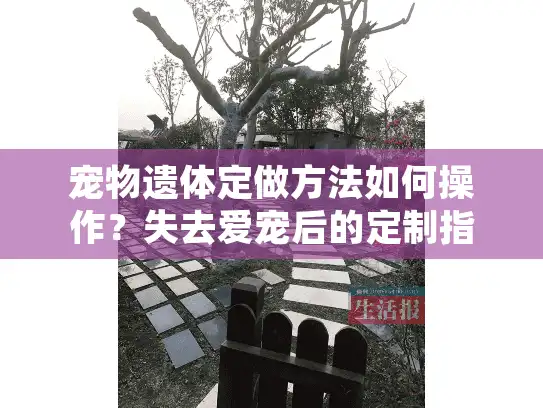 宠物遗体定做方法如何操作？失去爱宠后的定制指南