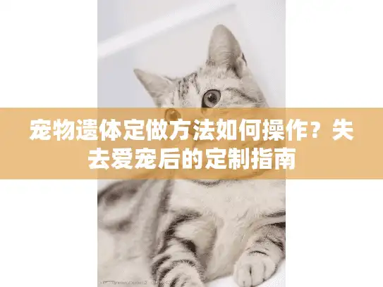 宠物遗体定做方法如何操作？失去爱宠后的定制指南