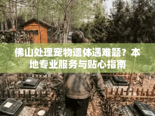 佛山处理宠物遗体遇难题？本地专业服务与贴心指南