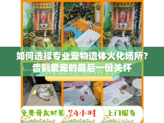 如何选择专业宠物遗体火化场所？告别爱宠的最后一份关怀