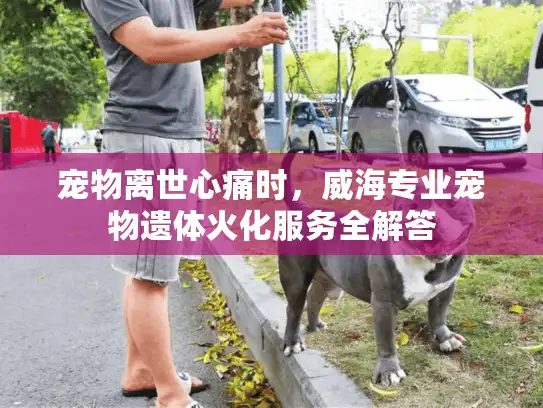 宠物离世心痛时，威海专业宠物遗体火化服务全解答
