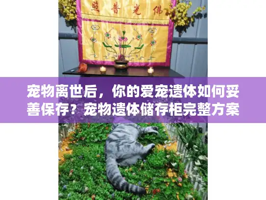宠物离世后，你的爱宠遗体如何妥善保存？宠物遗体储存柜完整方案解析