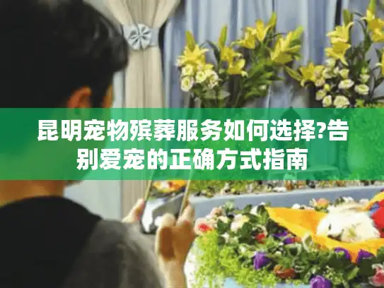 昆明宠物殡葬服务如何选择?告别爱宠的正确方式指南
