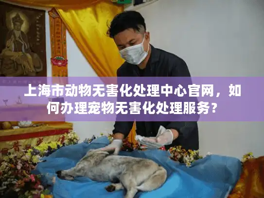 上海市动物无害化处理中心官网，如何办理宠物无害化处理服务？