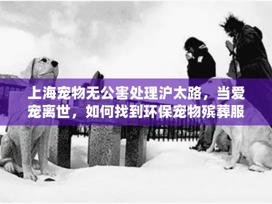 上海宠物无公害处理沪太路，当爱宠离世，如何找到环保宠物殡葬服务？