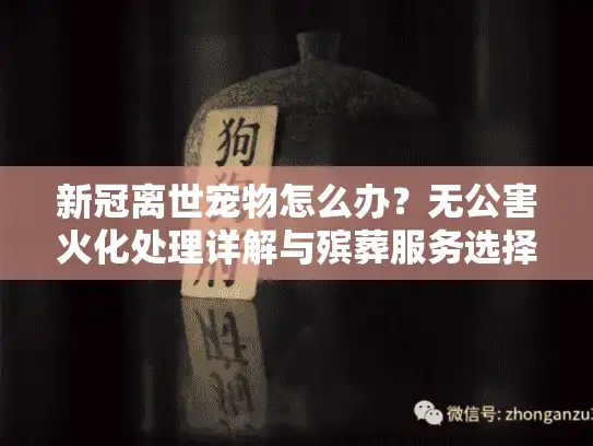 新冠离世宠物怎么办？无公害火化处理详解与殡葬服务选择指南
