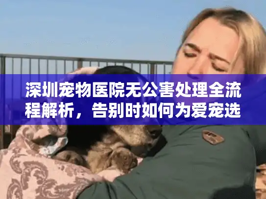 深圳宠物医院无公害处理全流程解析，告别时如何为爱宠选择正规服务
