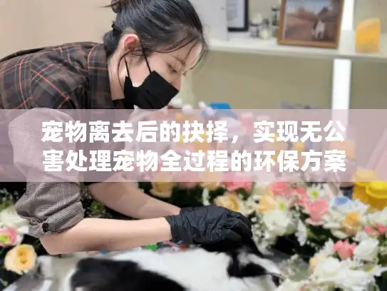 宠物离去后的抉择，实现无公害处理宠物全过程的环保方案
