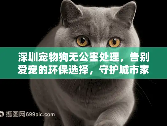 深圳宠物狗无公害处理，告别爱宠的环保选择，守护城市家园