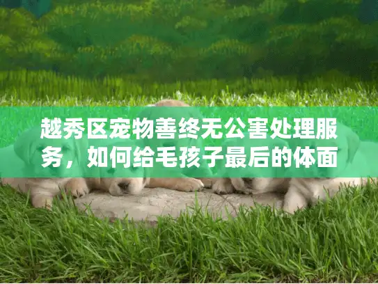 越秀区宠物善终无公害处理服务，如何给毛孩子最后的体面？