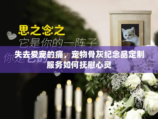 失去爱宠的痛，宠物骨灰纪念品定制服务如何抚慰心灵