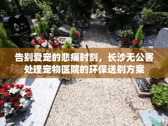告别爱宠的悲痛时刻，长沙无公害处理宠物医院的环保送别方案