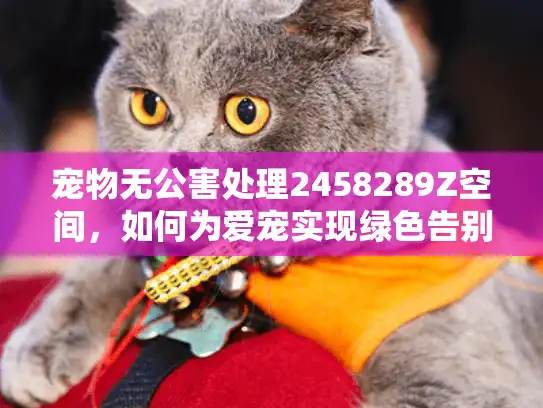 宠物无公害处理2458289Z空间，如何为爱宠实现绿色告别？