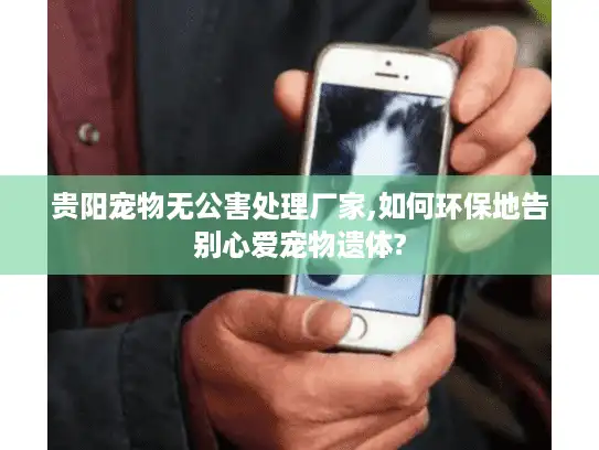 贵阳宠物无公害处理厂家,如何环保地告别心爱宠物遗体?