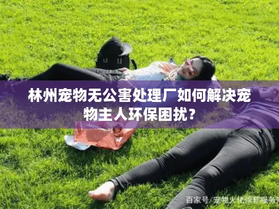 林州宠物无公害处理厂如何解决宠物主人环保困扰？