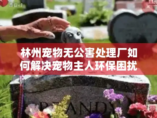林州宠物无公害处理厂如何解决宠物主人环保困扰？