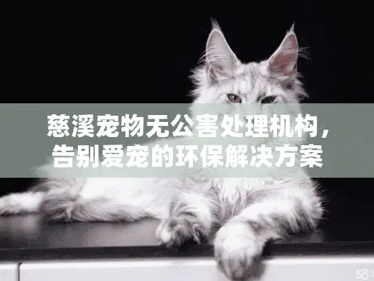 慈溪宠物无公害处理机构，告别爱宠的环保解决方案