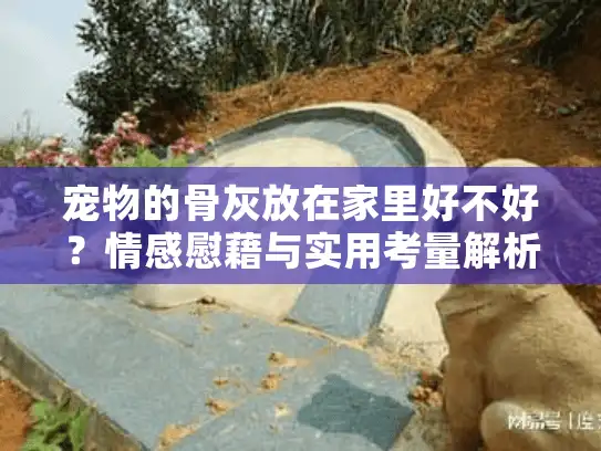 宠物的骨灰放在家里好不好？情感慰藉与实用考量解析