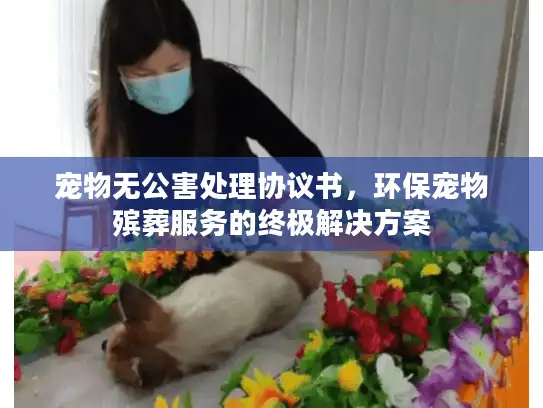宠物无公害处理协议书，环保宠物殡葬服务的终极解决方案