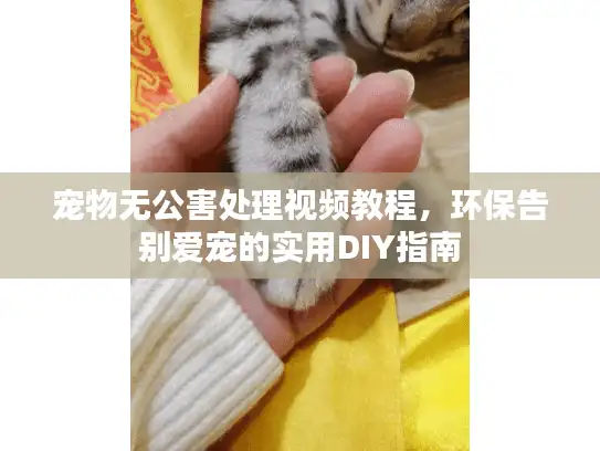 宠物无公害处理视频教程，环保告别爱宠的实用DIY指南