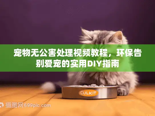 宠物无公害处理视频教程，环保告别爱宠的实用DIY指南