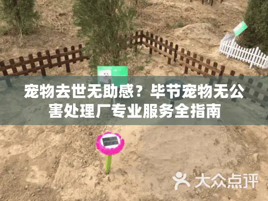 宠物去世无助感？毕节宠物无公害处理厂专业服务全指南