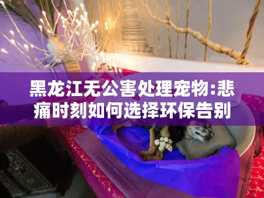 黑龙江无公害处理宠物:悲痛时刻如何选择环保告别服务?