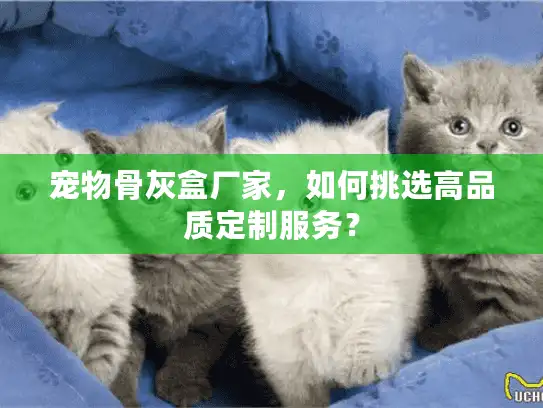 宠物骨灰盒厂家，如何挑选高品质定制服务？