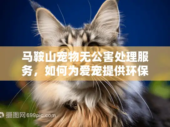 马鞍山宠物无公害处理服务，如何为爱宠提供环保告别？