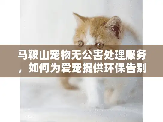 马鞍山宠物无公害处理服务，如何为爱宠提供环保告别？
