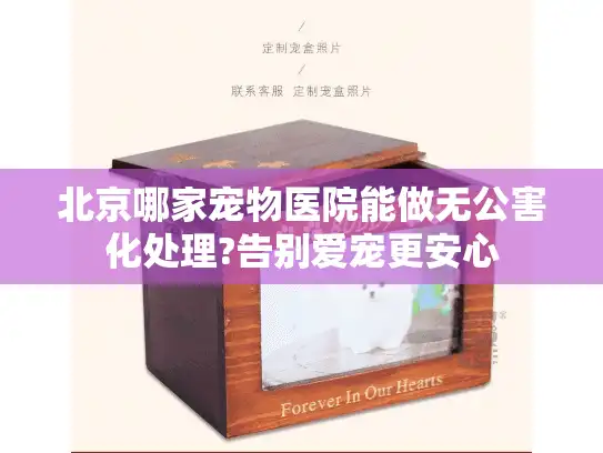 北京哪家宠物医院能做无公害化处理?告别爱宠更安心