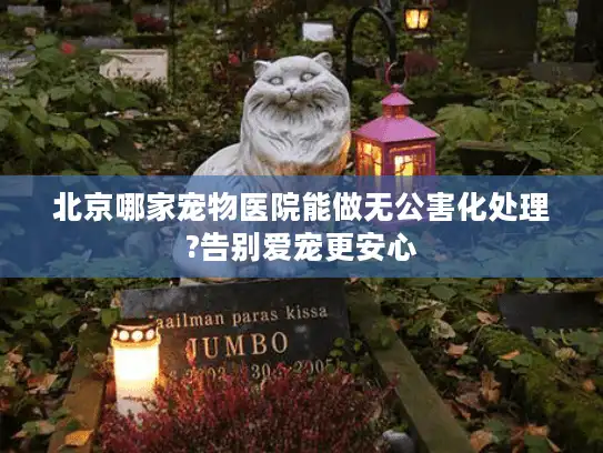 北京哪家宠物医院能做无公害化处理?告别爱宠更安心
