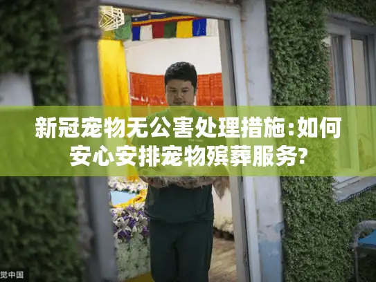 新冠宠物无公害处理措施:如何安心安排宠物殡葬服务?