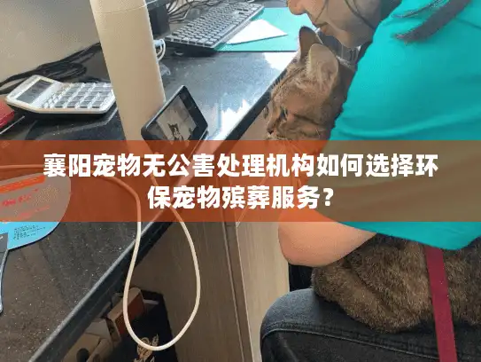 襄阳宠物无公害处理机构如何选择环保宠物殡葬服务？
