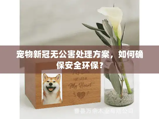 宠物新冠无公害处理方案，如何确保安全环保？