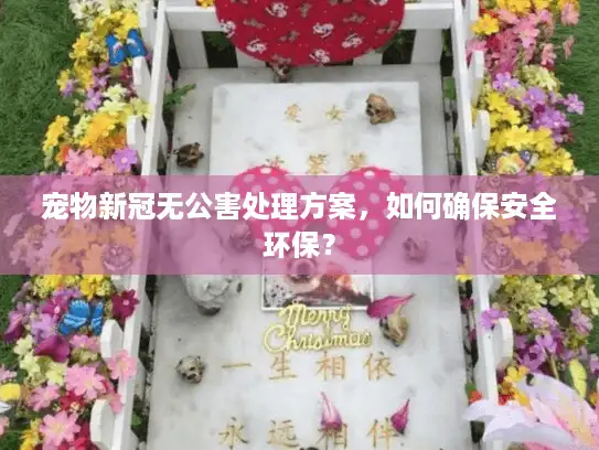 宠物新冠无公害处理方案，如何确保安全环保？